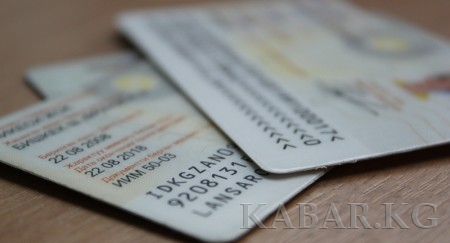 吉尔吉斯共和国总统支持取消护照民族信息一栏
