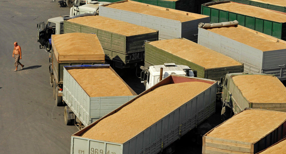 媒体：俄库尔干州欲向中国出售谷物