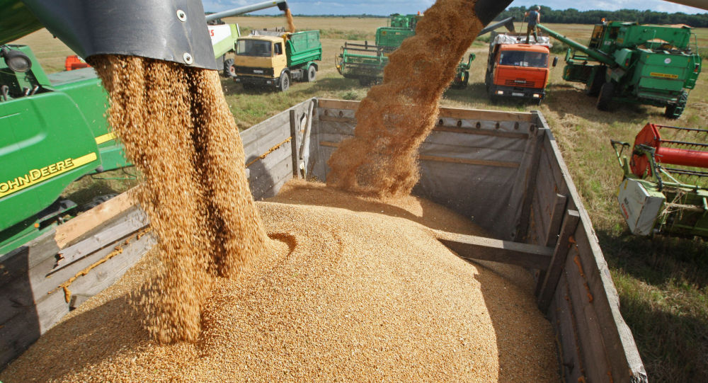 普京：俄政府预计今年是近代以来粮食产量最好年份