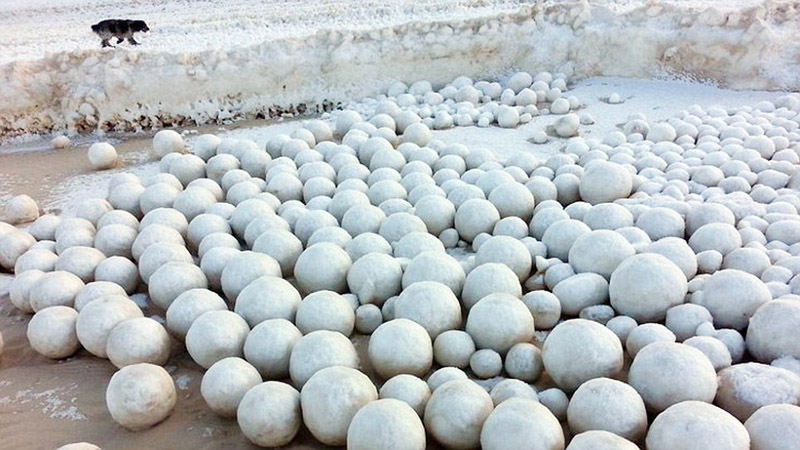 西伯利亚海岸惊现“神秘雪球”