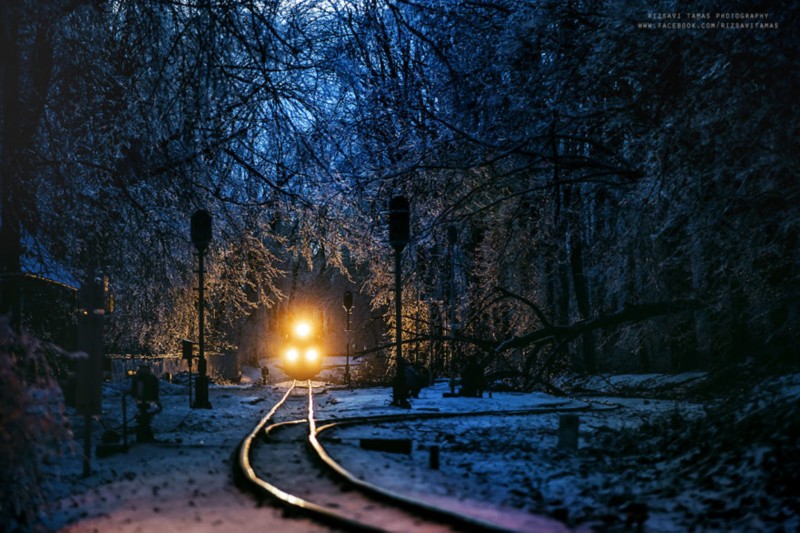 外国摄影师拍摄冬季森林美景 梦幻如童话世界