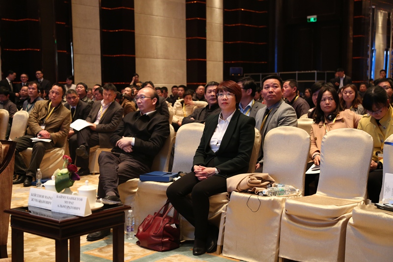中国投资者对投资哈萨克斯坦霍尔果斯-东大门经济特区兴趣浓厚