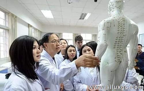 吉尔吉斯来华留学生：盼中医药乘“一带一路”服务世界人民