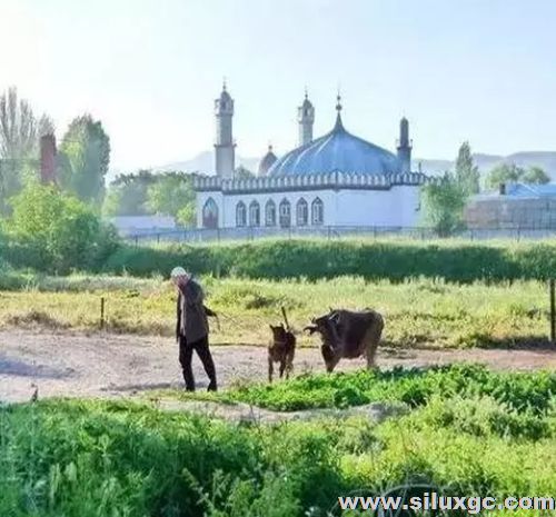 吉尔吉斯斯坦回族：百年中国传统习俗依然兴盛