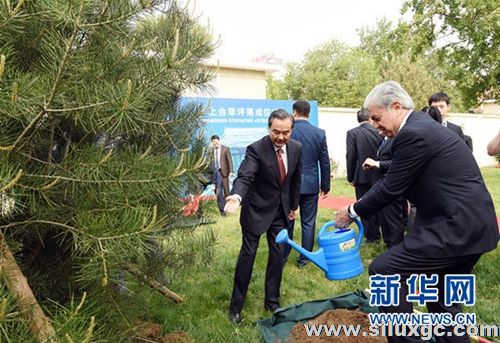 解局：为上合峰会打前站 王毅出访中亚的三大任务