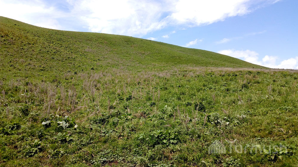 吉尔吉斯斯坦的美景——托古斯-布拉克山谷（组图）