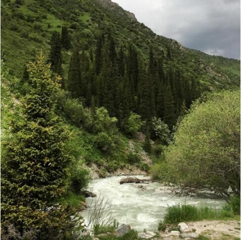俄总理在instagram上发布阿拉阿尔恰峡谷照片