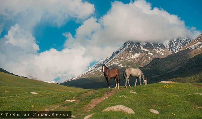 吉尔吉斯斯坦旅行手册之塔拉斯州