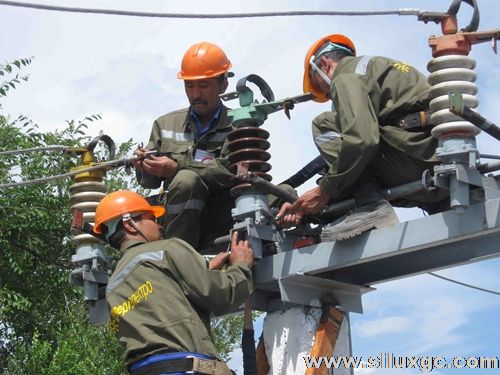 吉国北方电业公司总经理：让人民用电更方便保障中国企业用电