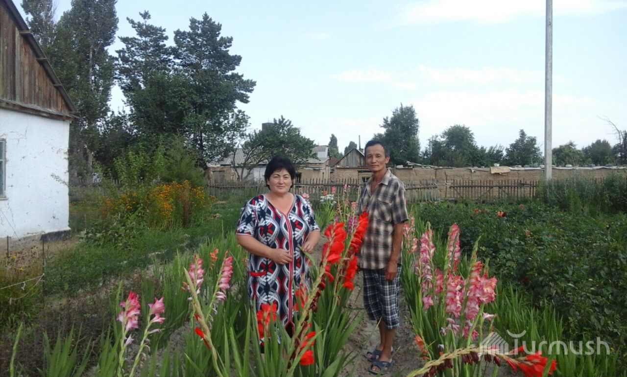 中国丈夫与吉国妻子共谱花卉情缘