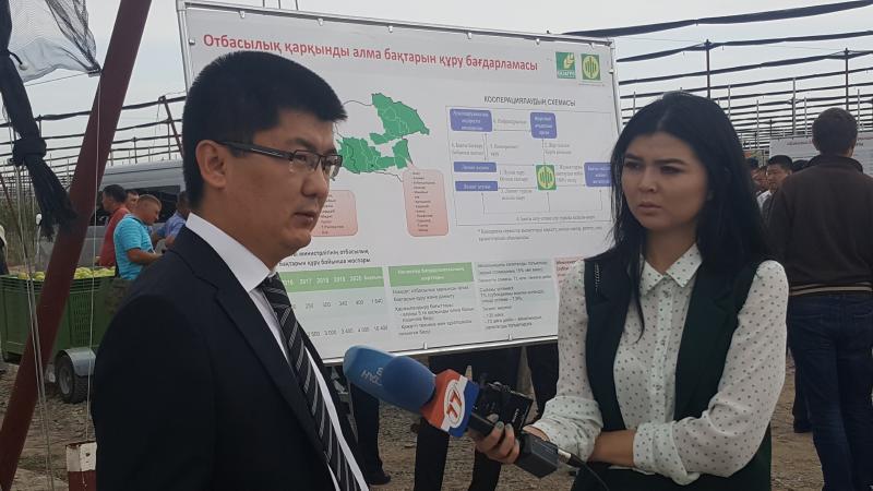 哈萨克斯坦仅能满足居民30%的苹果消费需求