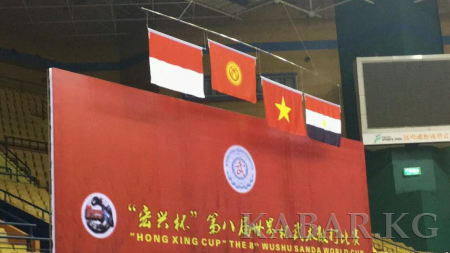 吉国运动员在世界杯武术散打比赛夺得奖牌