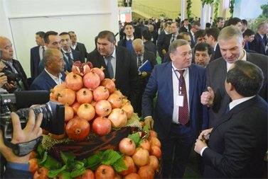 俄罗斯与乌兹别克斯坦讨论增加果品蔬菜供应的可能性